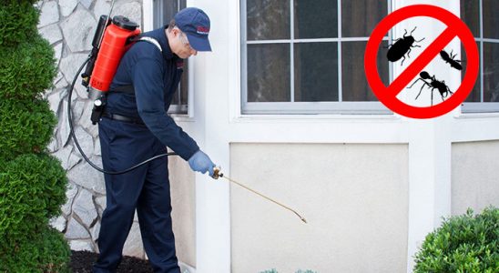 Pasinler Akrep İlaçlama böcek ilaçlama ve haşere kontrolü — ilaclama-tr.com